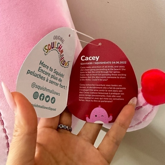 NWT Squishmallow Cacey the Cactus 14" Valentine's Day Exclusive Toy Plush - Picture 2 of 4